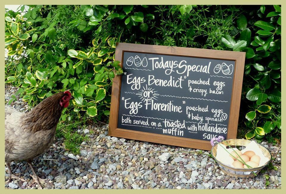 Bed and Breakfast Applecroft House Killarney Exterior foto